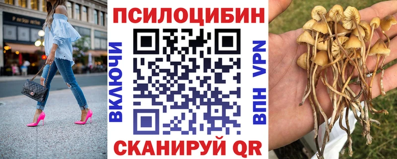 Псилоцибиновые грибы мицелий  Кореновск 