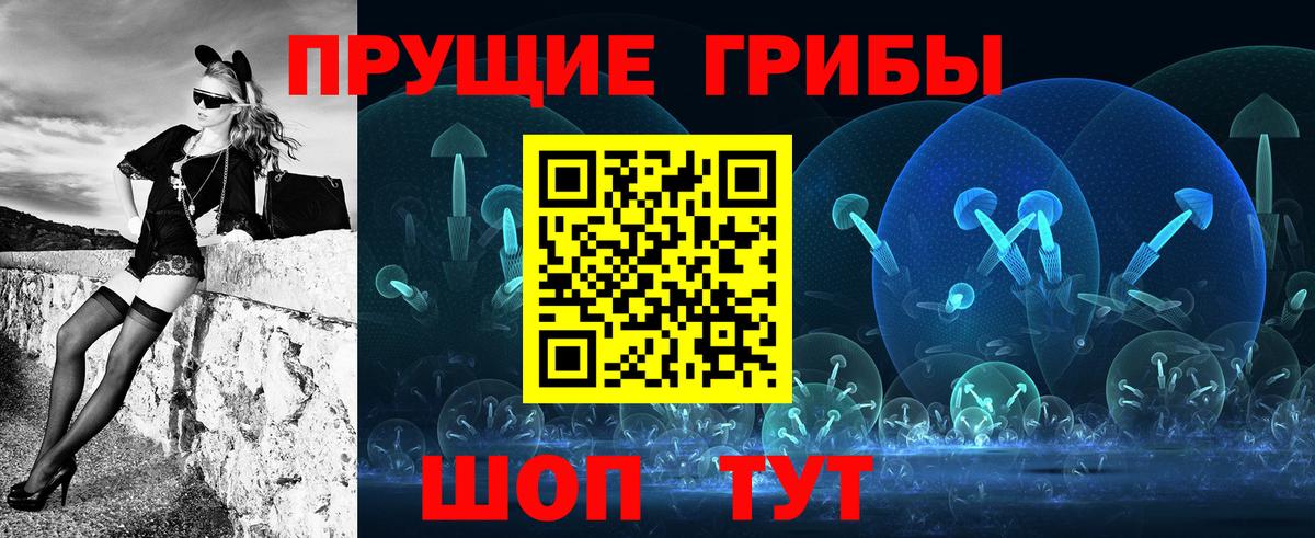 Галлюциногенные грибы Psilocybine cubensis  Кореновск 