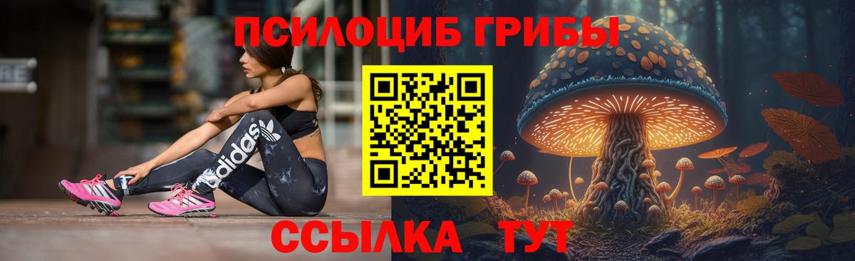 Кореновск  Псилоцибиновые грибы прущие грибы  Вход с VPN 